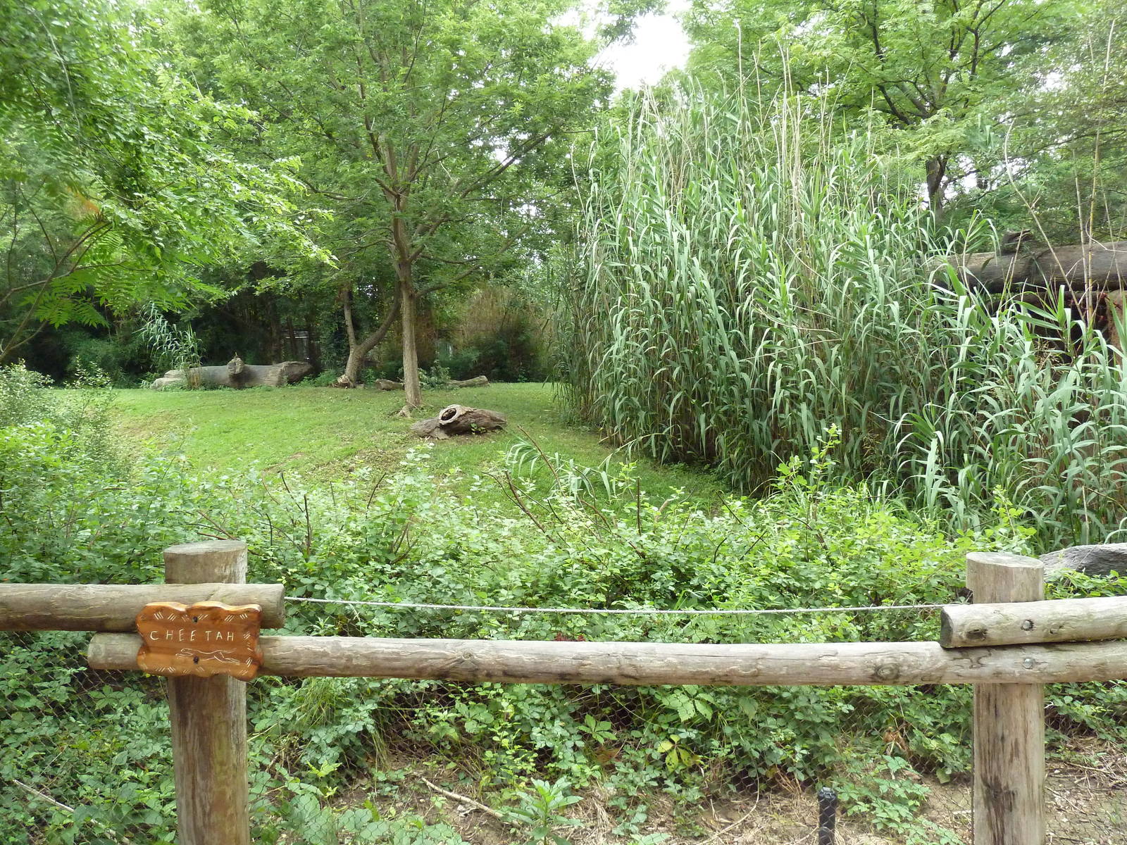 River's Edge - Cheetah Exhibit