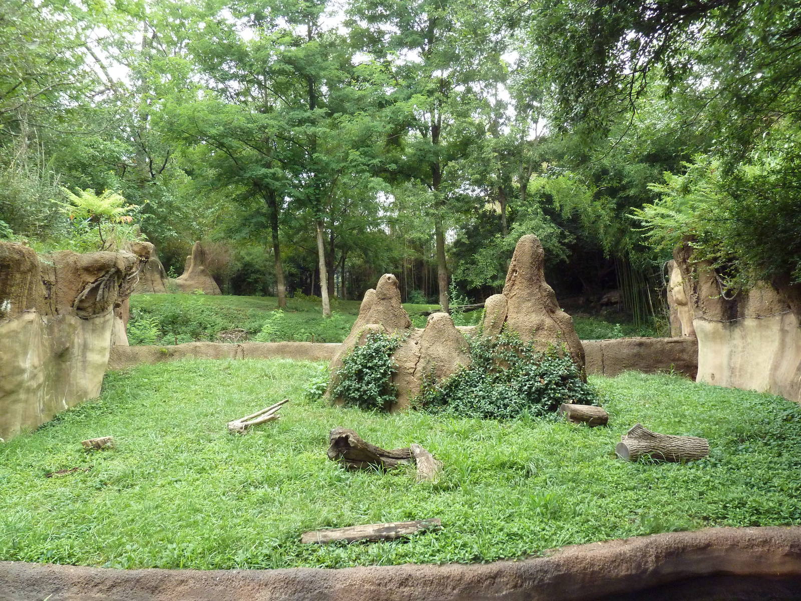 River's Edge - Dwarf Mongoose Exhibit (with cheetah exhibit in the backgrou