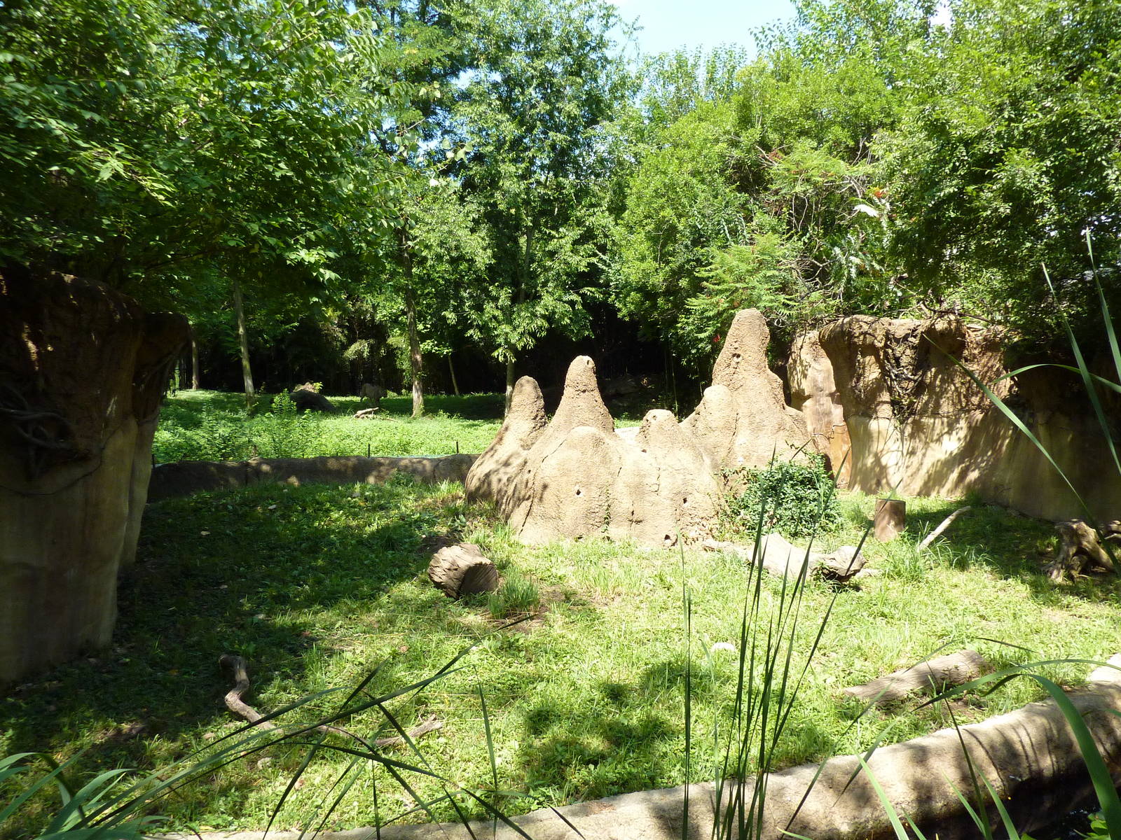 River's Edge - Dwarf Mongoose Exhibit