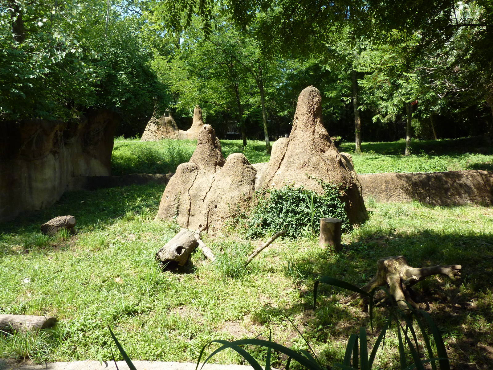 River's Edge - Dwarf Mongoose Exhibit