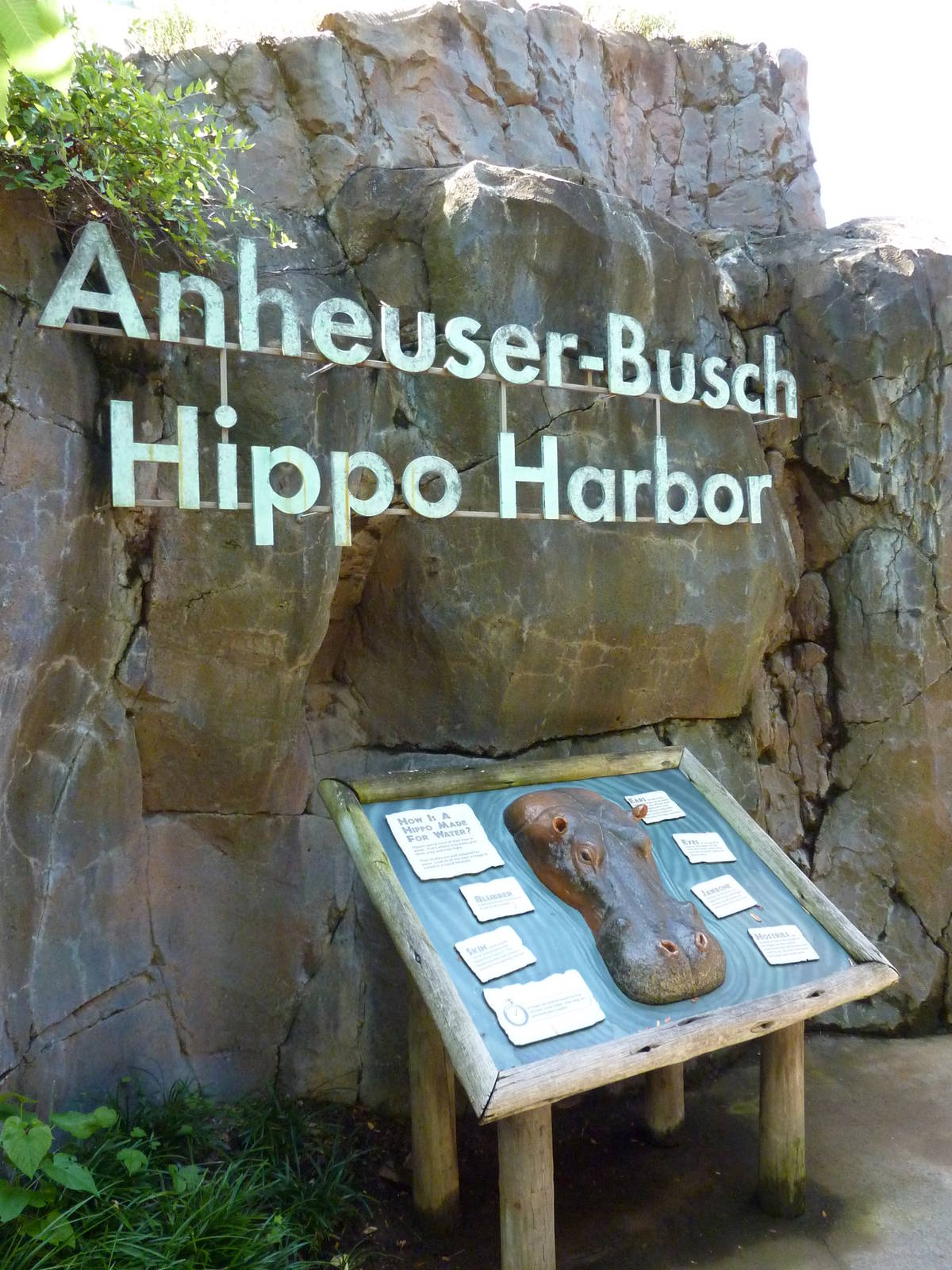 River's Edge - Hippo Harbor