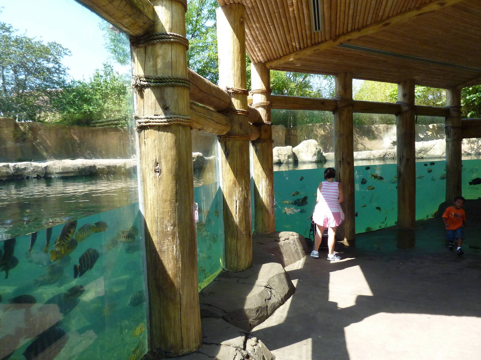 River's Edge - Hippo Harbor