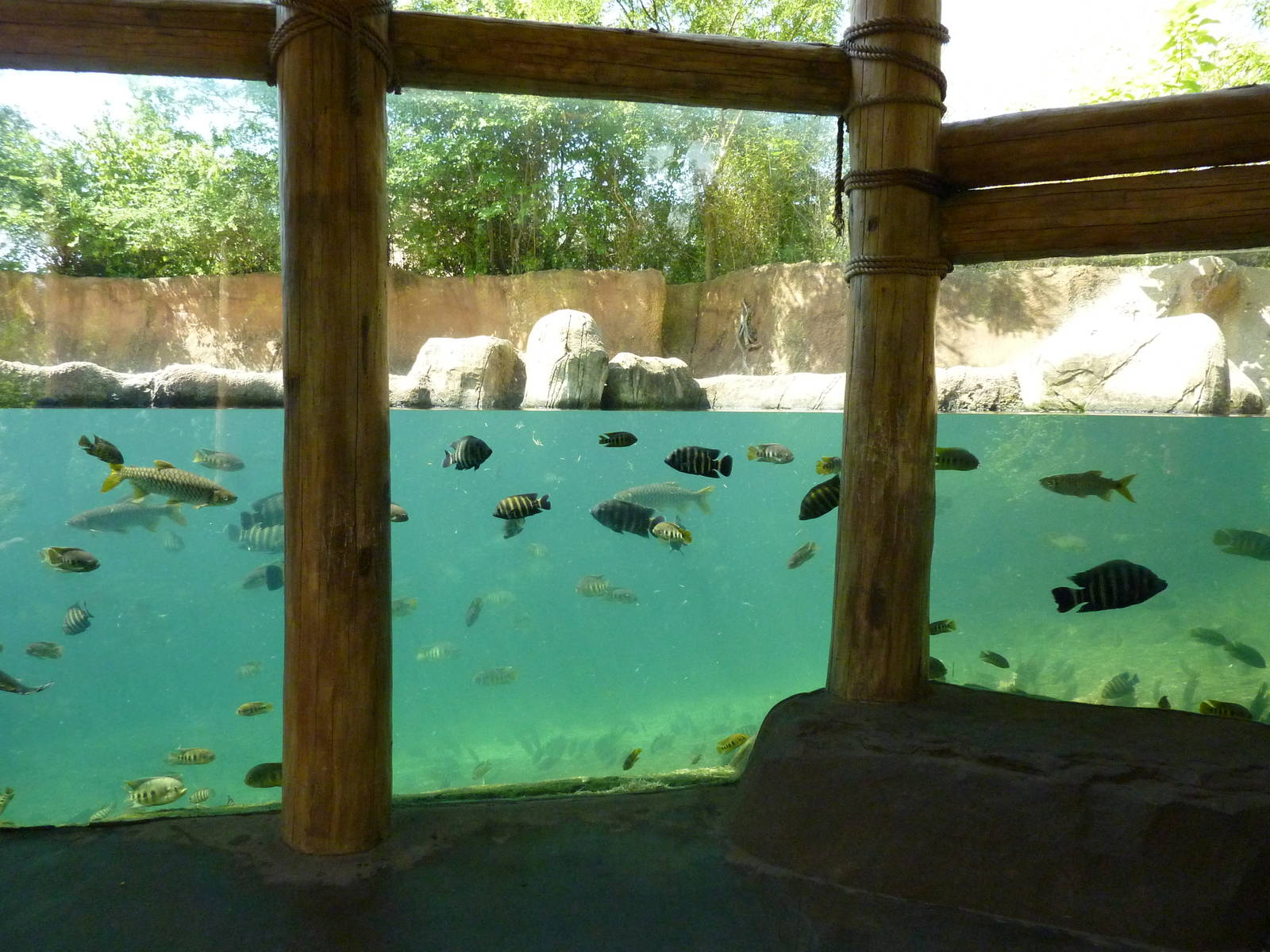 River's Edge - Hippo Harbor