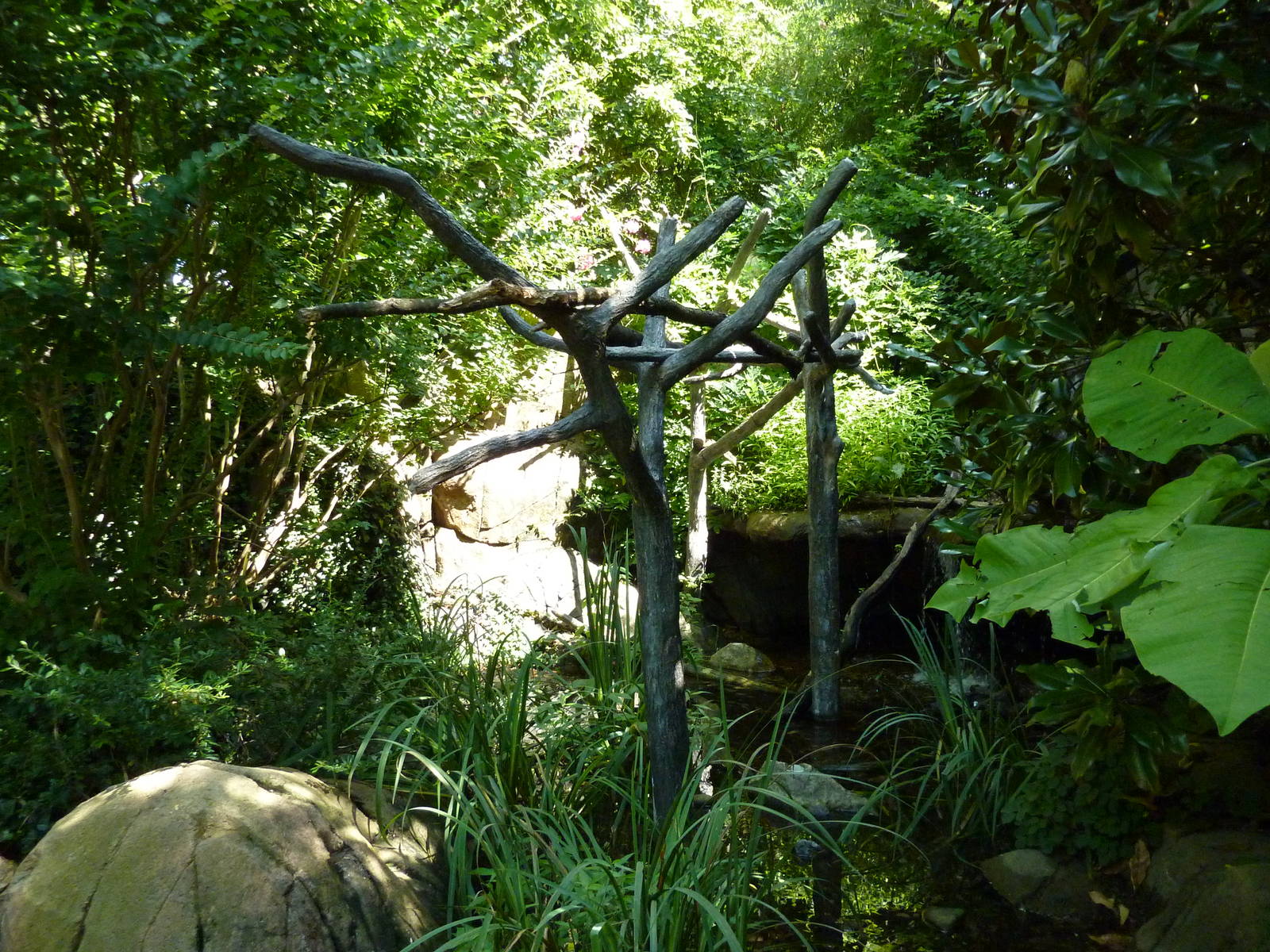 River's Edge - Macaw Perch