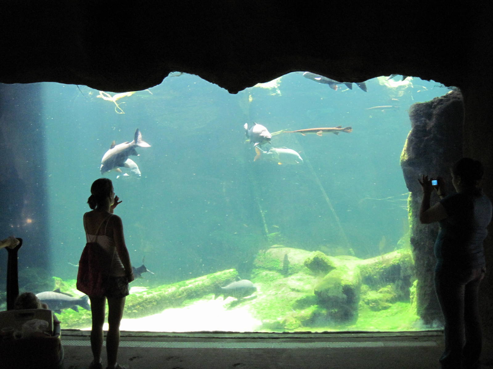 River's Edge-Missouri Aquarium