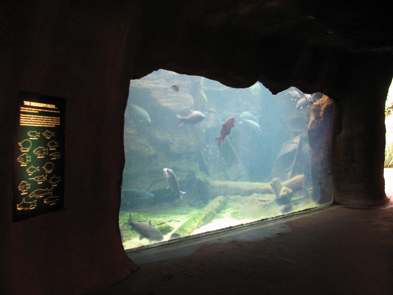 River's Edge - Missouri River Aquarium