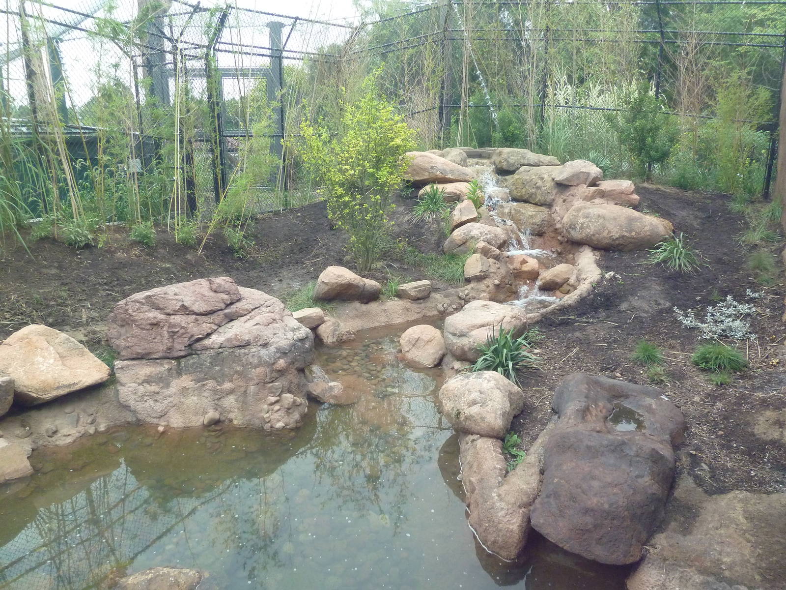 River's Edge - Painted Dog Preserve (New in 2014)