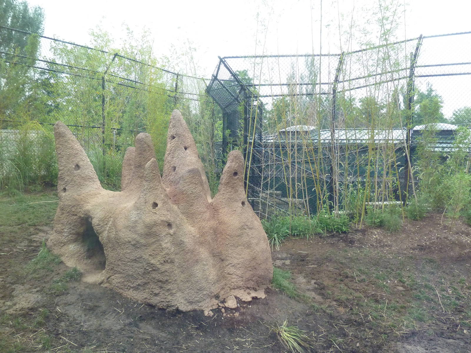 River's Edge - Painted Dog Preserve (New in 2014)