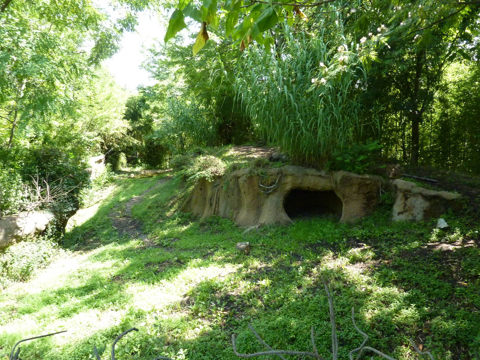 River's Edge - Spotted Hyena Exhibit