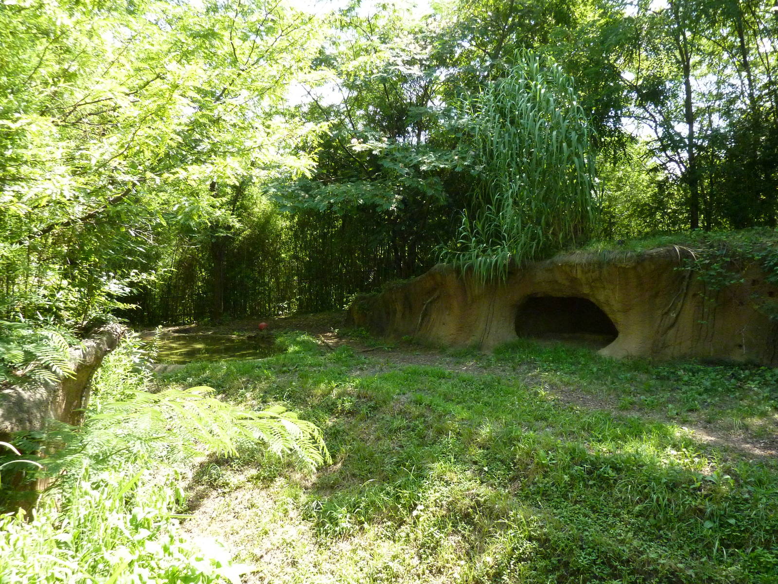 River's Edge - Spotted Hyena Exhibit