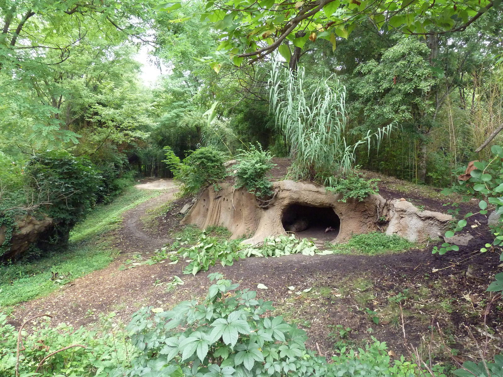 River's Edge - Spotted Hyena Exhibit