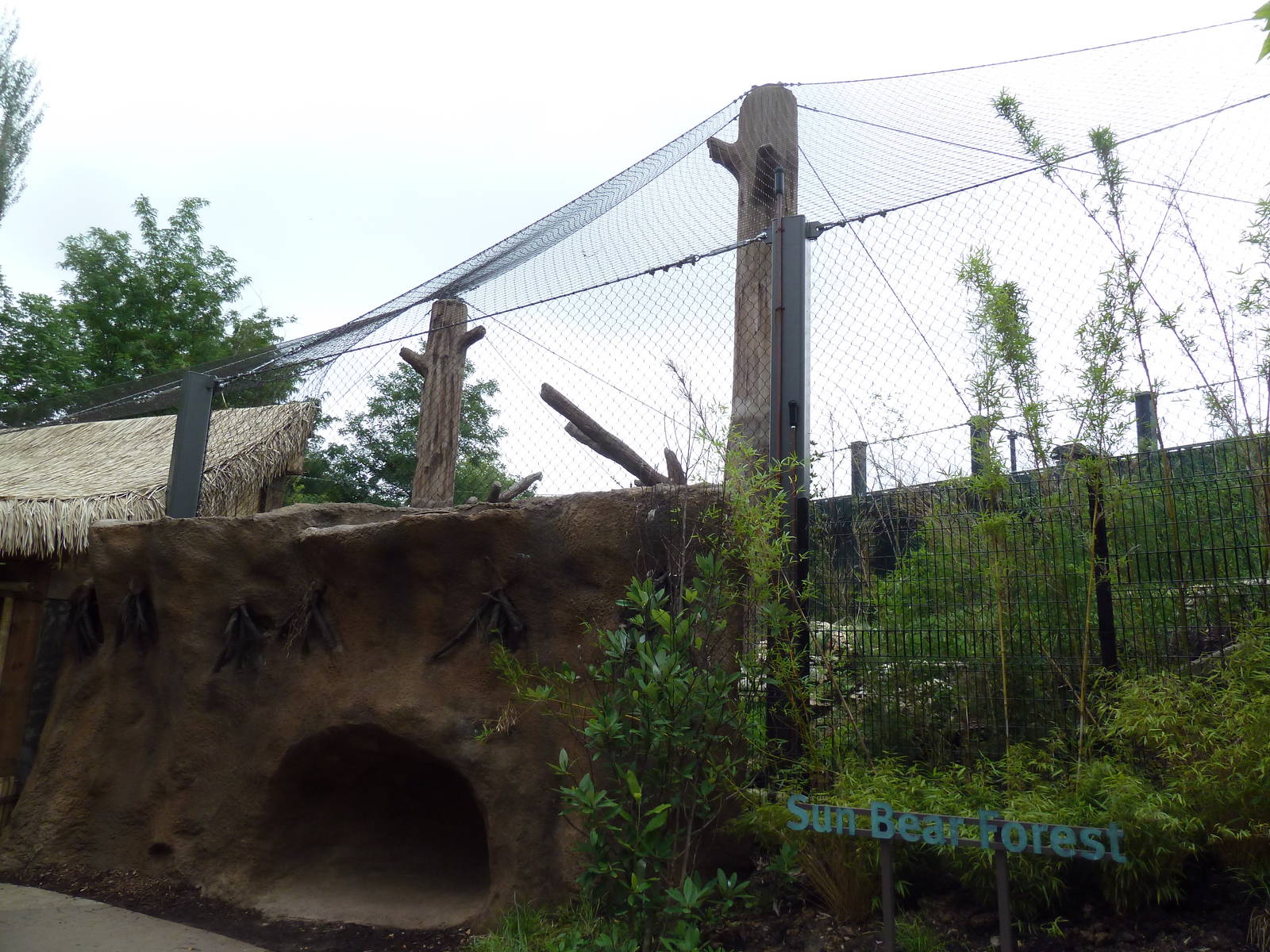 River's Edge - Sun Bear Forest (New in 2014)