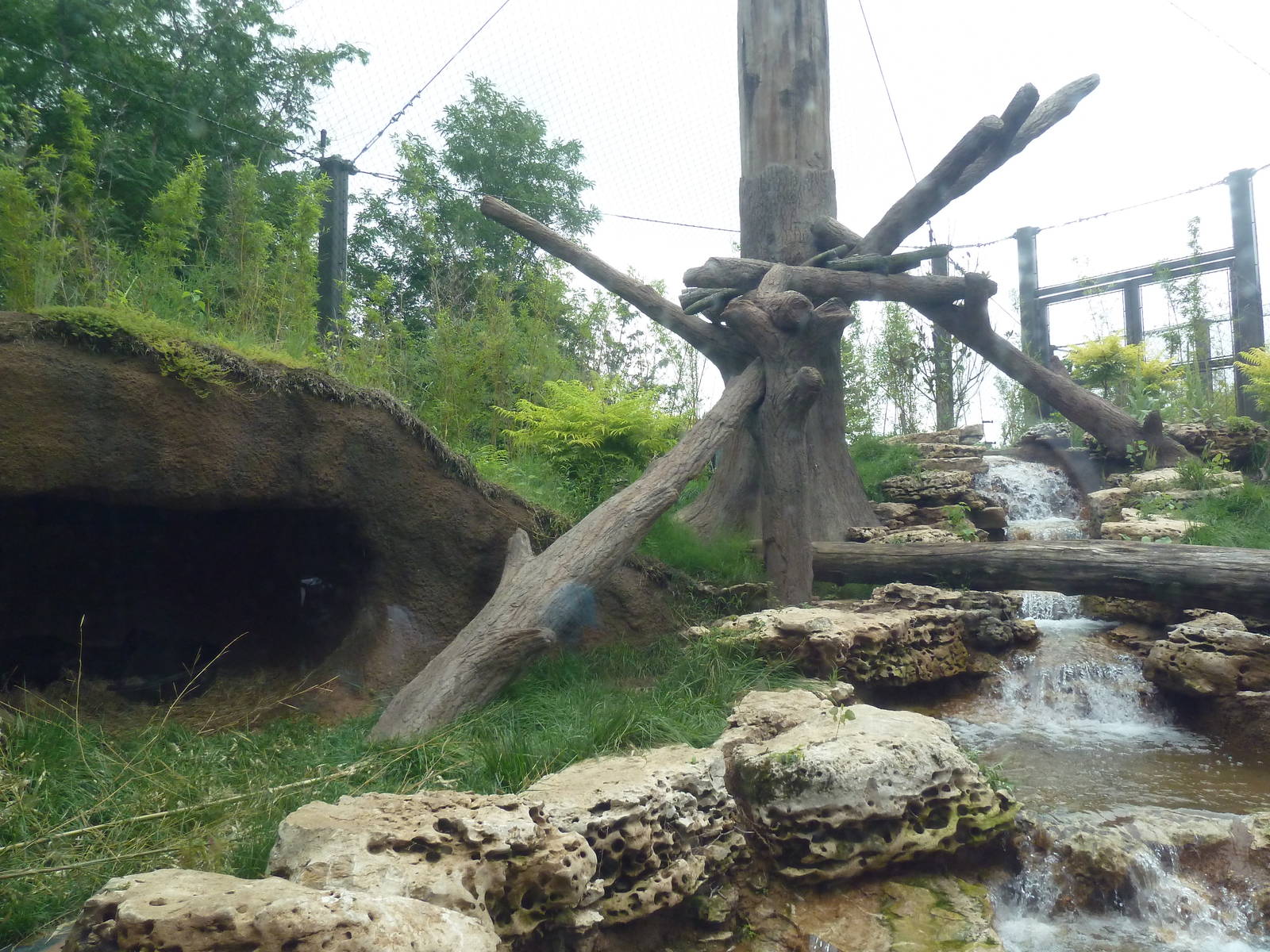 River's Edge - Sun Bear Forest (New in 2014)