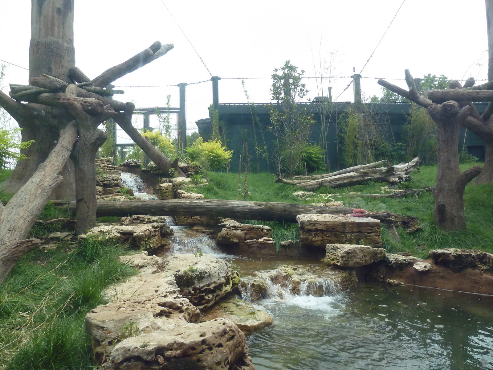 River's Edge - Sun Bear Forest (New in 2014)