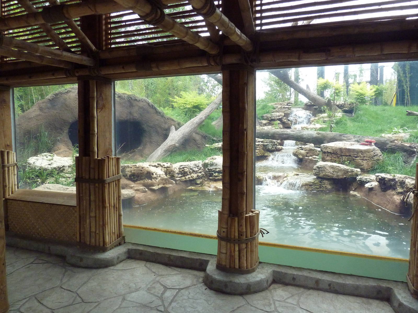 River's Edge - Sun Bear Forest (New in 2014)