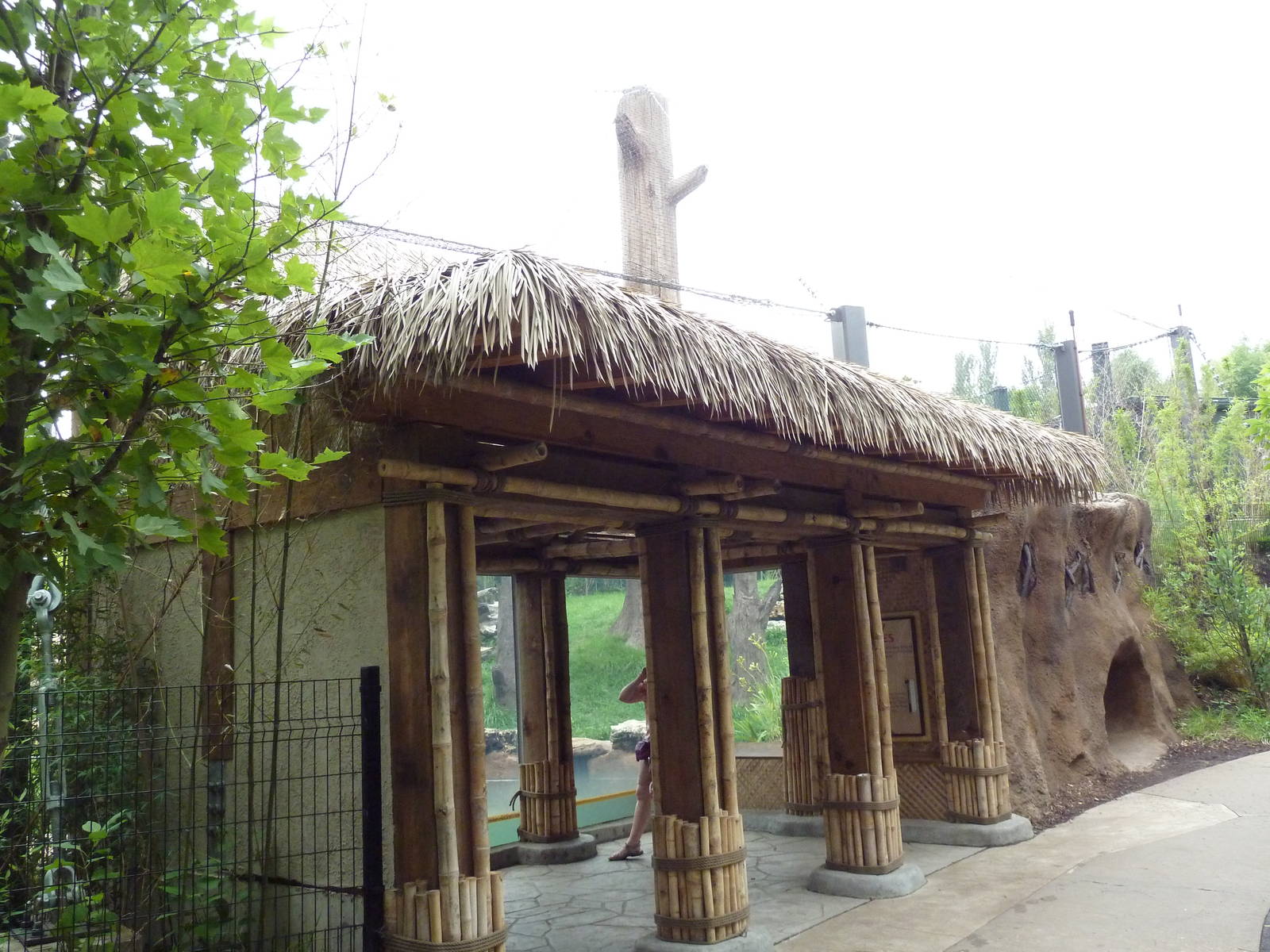 River's Edge - Sun Bear Forest (New in 2014)