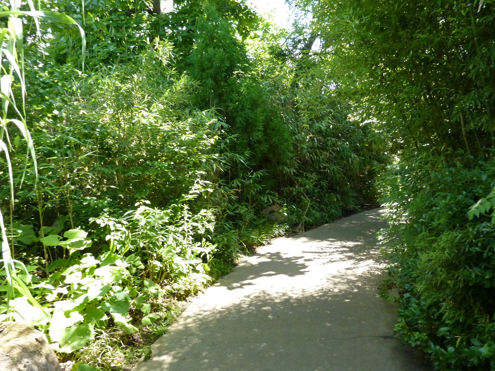 River's Edge - Visitor Pathway