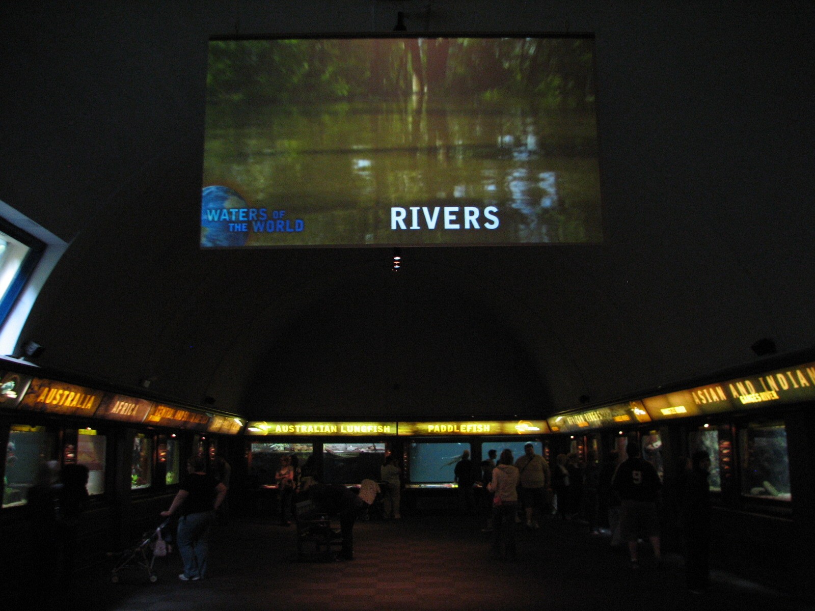 Rivers - Gallery