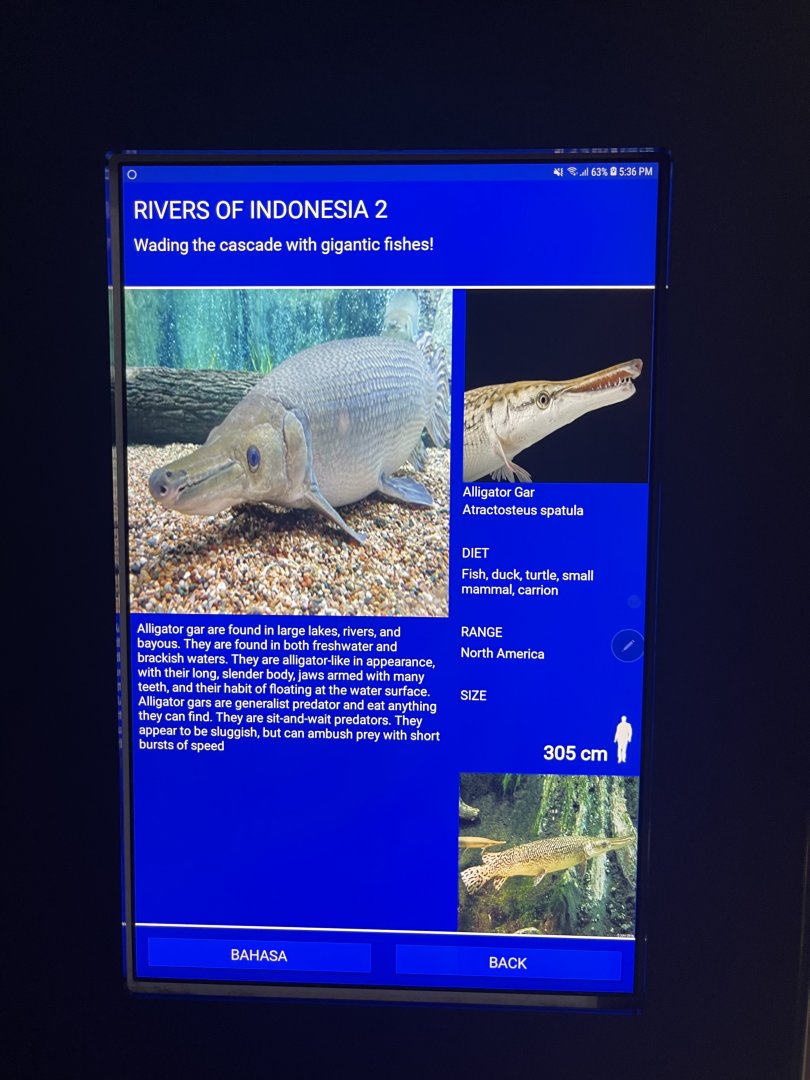 rivers of indonesia - aligator gar signage