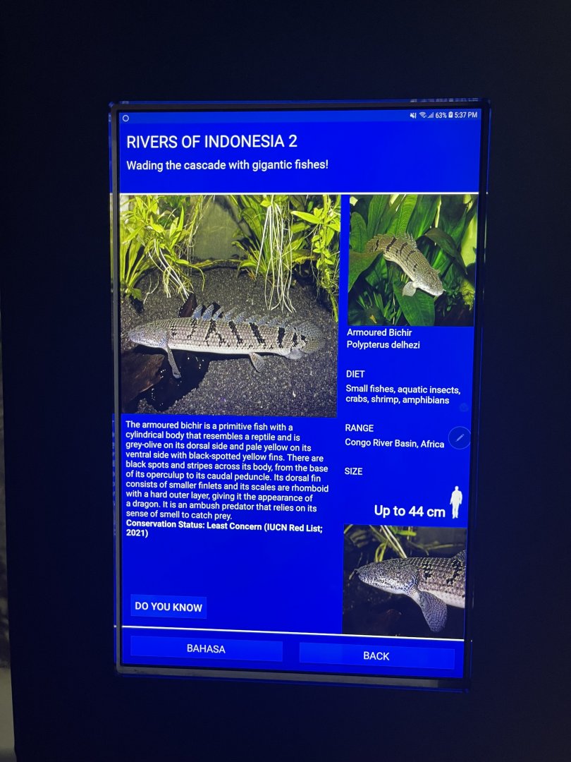 rivers of indonesia - barred bichir signage