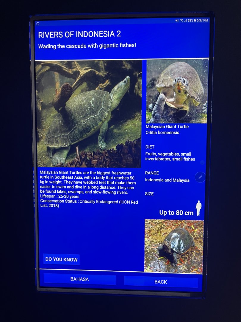 rivers of indonesia - malaysian giant turtle signage