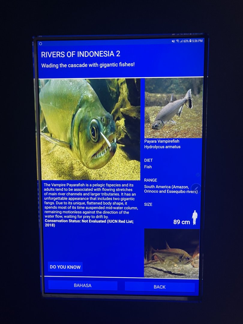 rivers of indonesia - payara signage