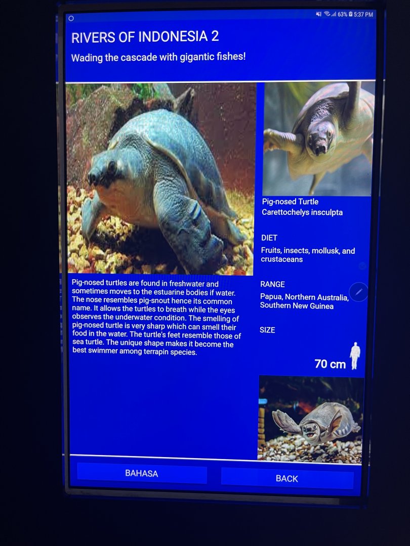 rivers of indonesia - pig-nosed turtle signage