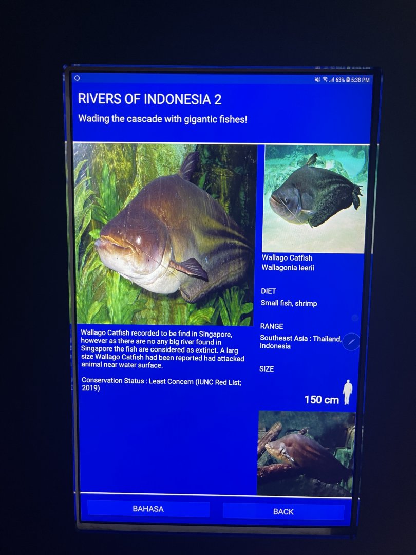 rivers of indonesia - tapah signage