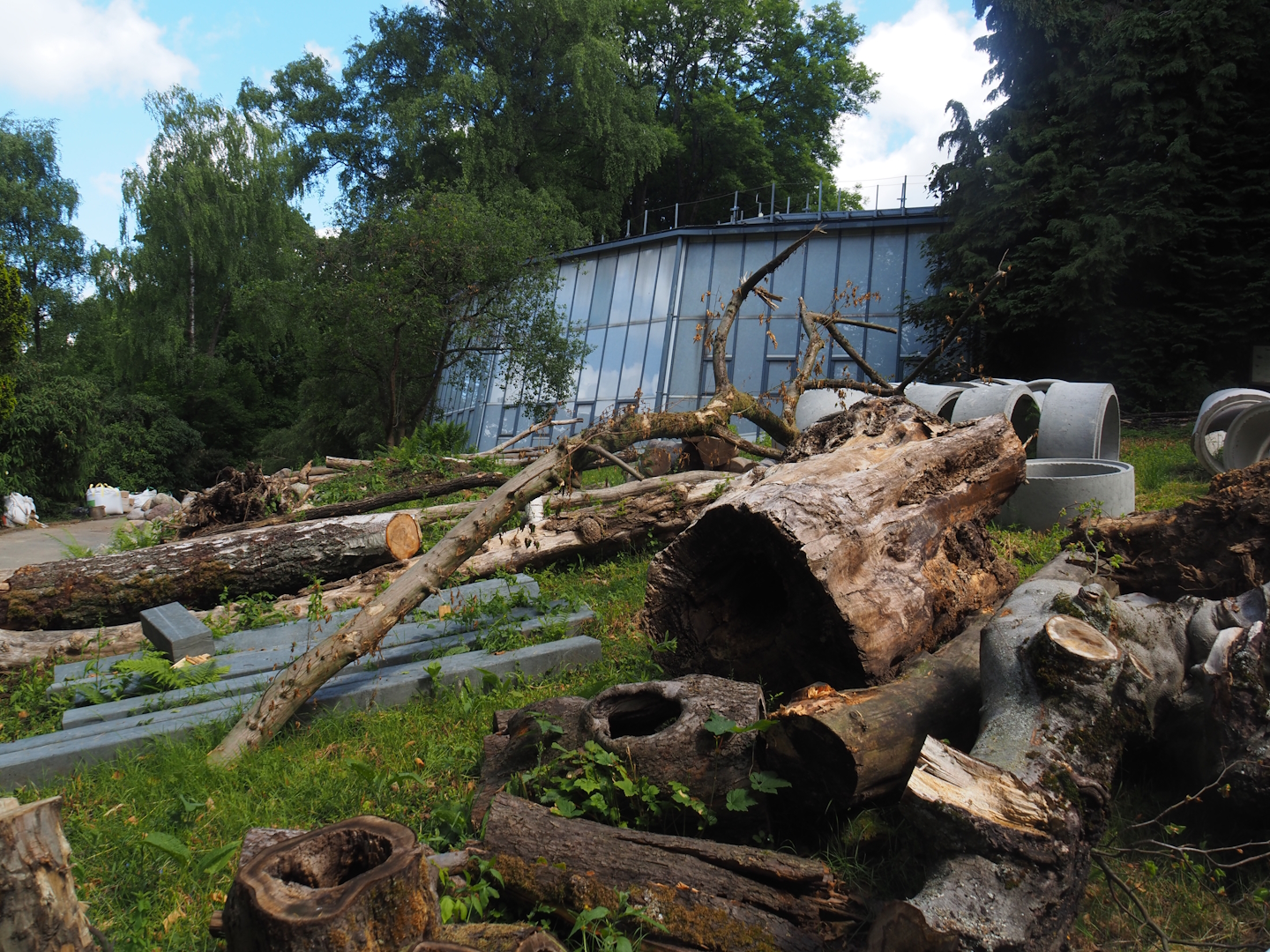 Rivers of Sulawesi (Babirusa and Asian small-clawed otter exhibit) construction, 2025-05-30