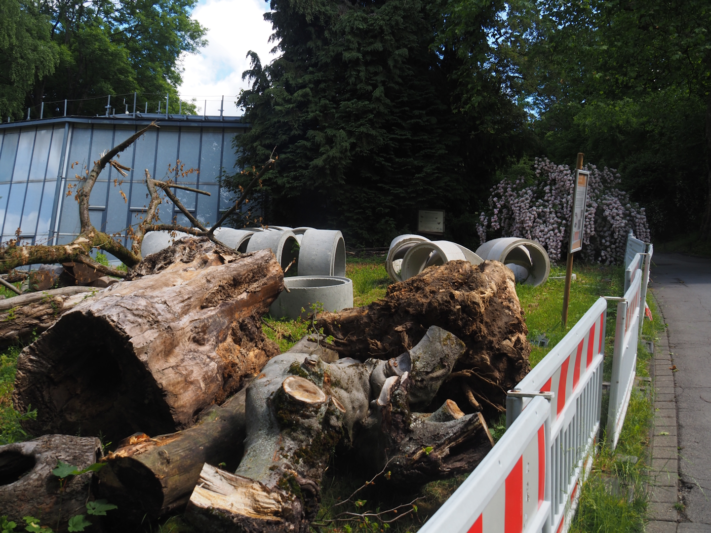 Rivers of Sulawesi (Babirusa and Asian small-clawed otter exhibit) construction, 2025-05-30