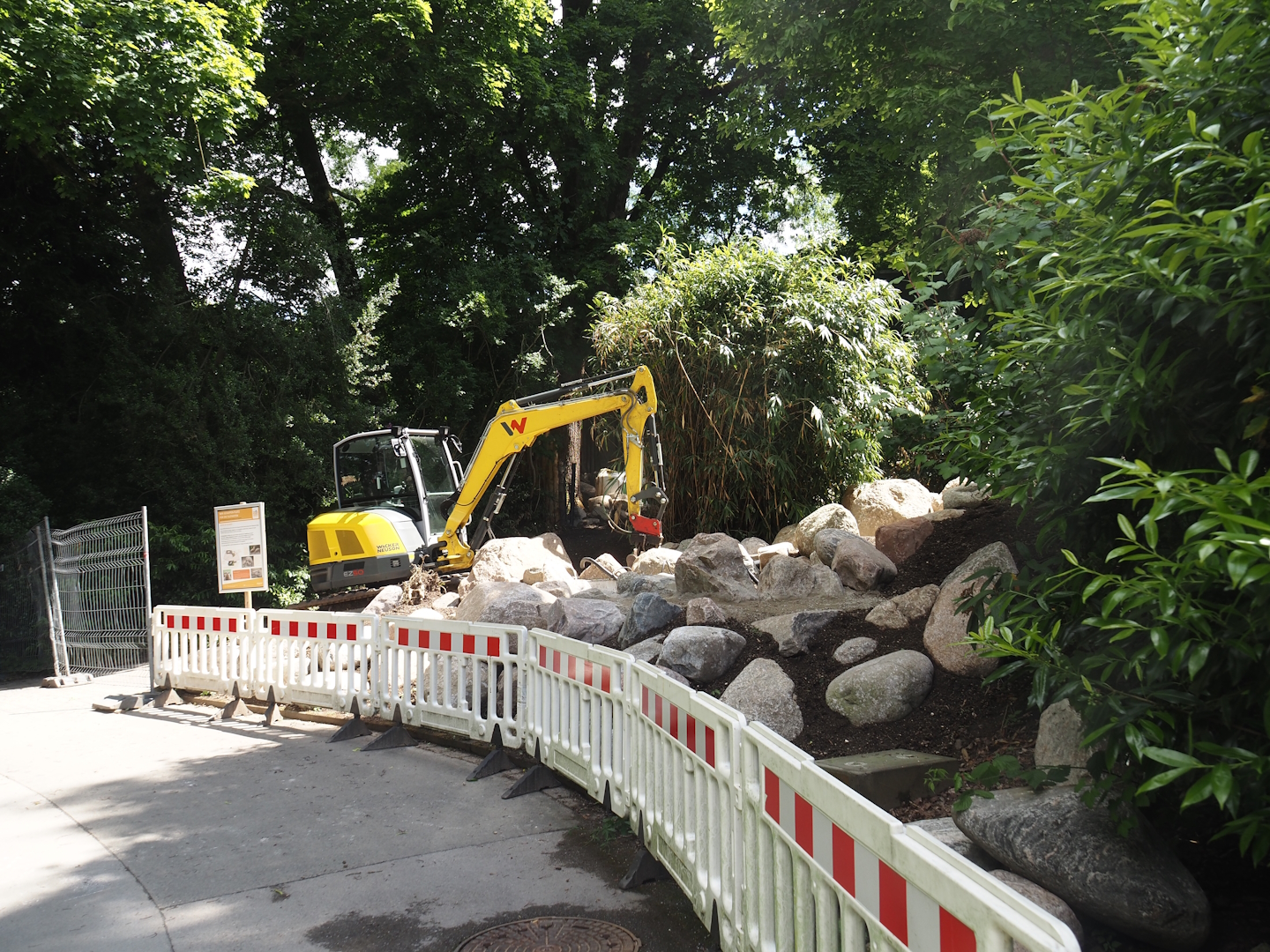 Rivers of Sulawesi (Babirusa and Asian small-clawed otter exhibit) construction, 2025-05-30