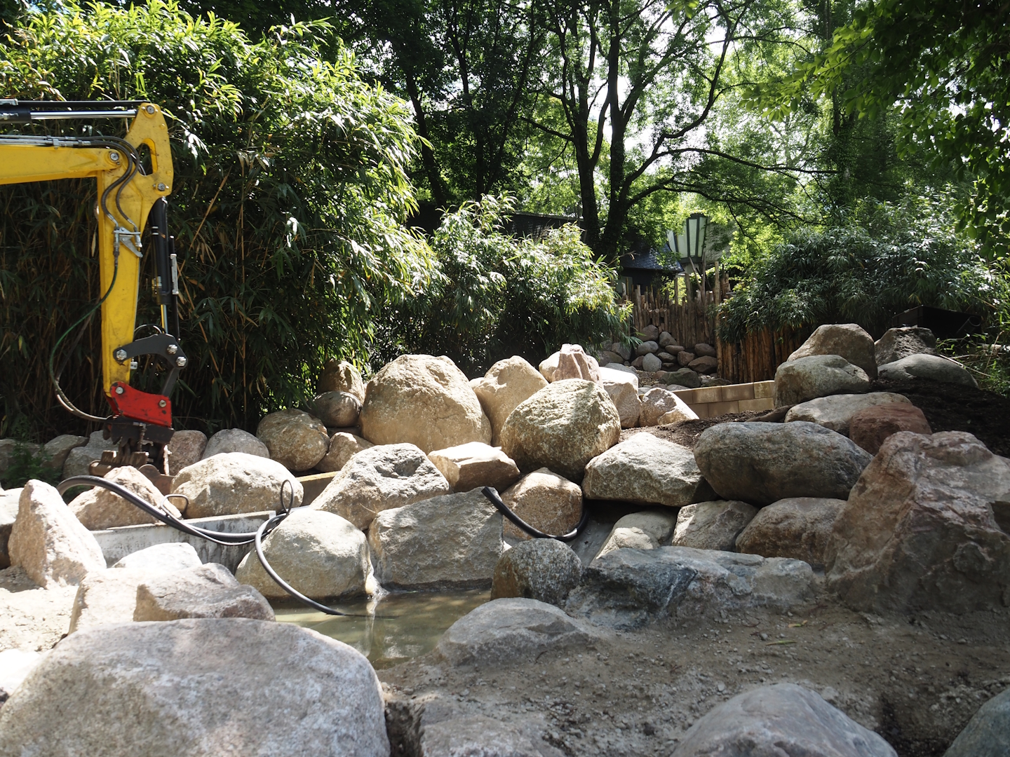 Rivers of Sulawesi (Babirusa and Asian small-clawed otter exhibit) construction, 2025-05-30