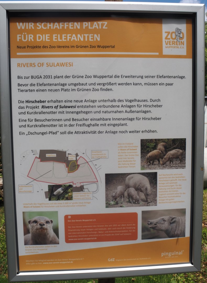 Rivers of Sulawesi (Babirusa and Asian small-clawed otter exhibit) construction signage, 2025-05-30