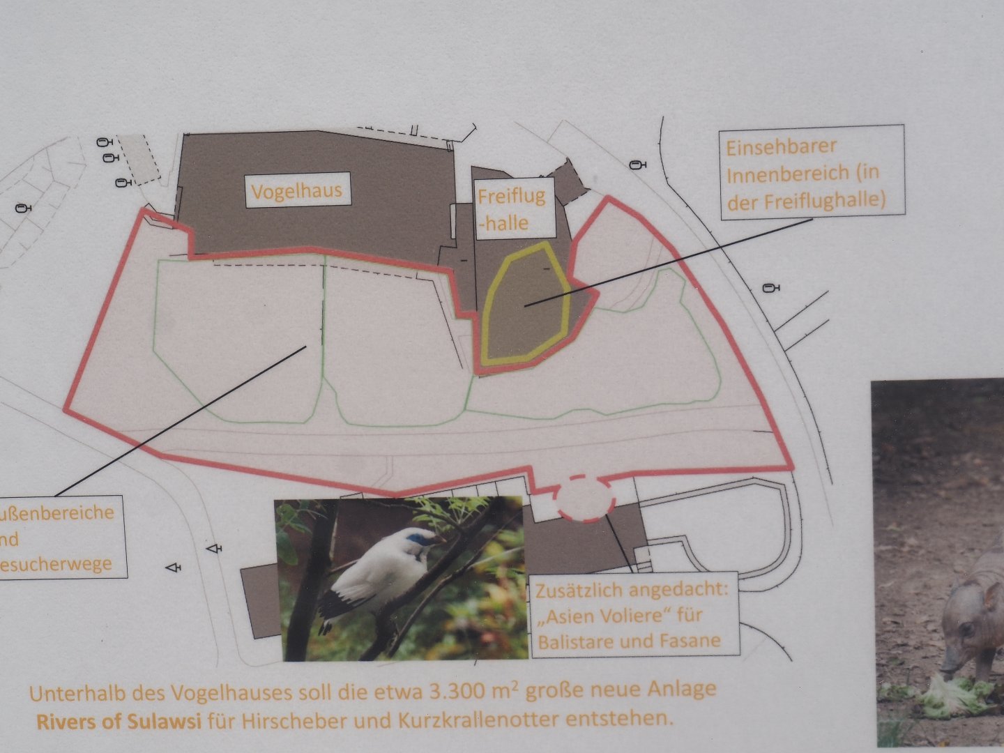 Rivers of Sulawesi (Babirusa and Asian small-clawed otter exhibit) construction signage, 2025-05-30