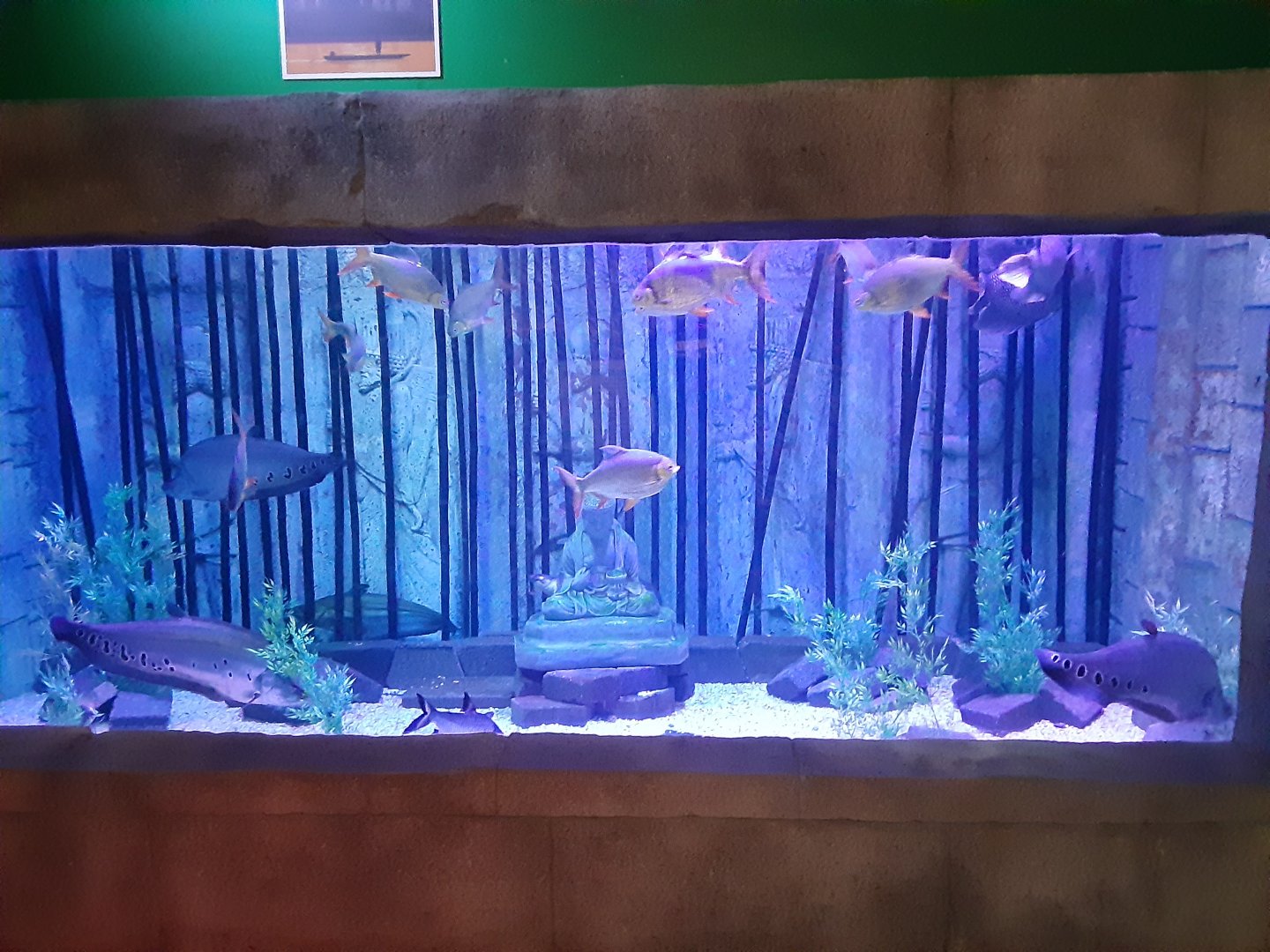 Rivers of Thailand Tank