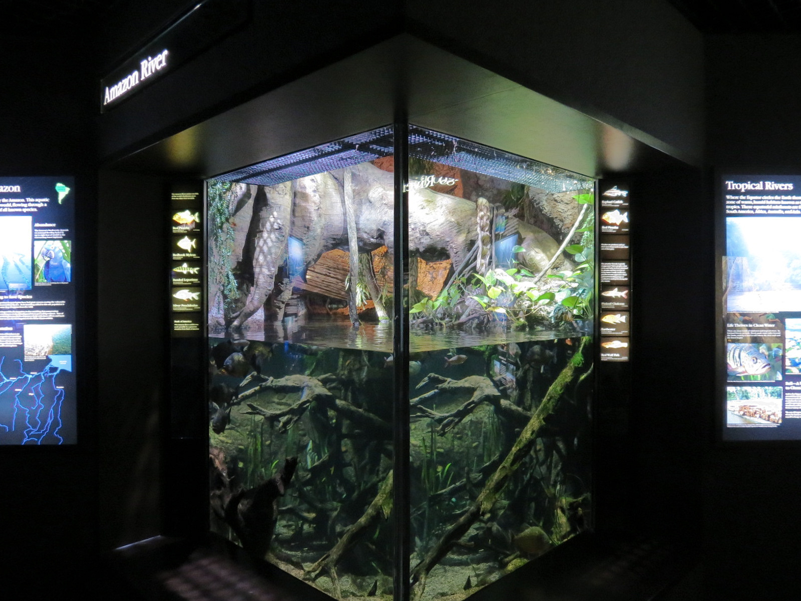 Rivers of the World - Amazon River Exhibit 2
