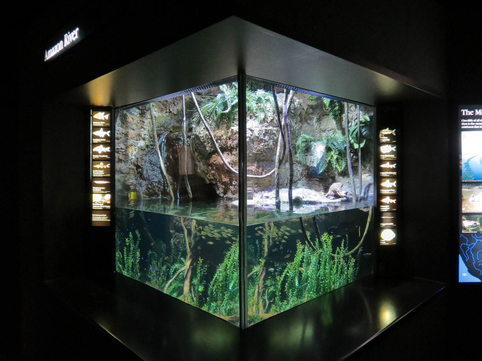 Rivers of the World - Amazon River Exhibit