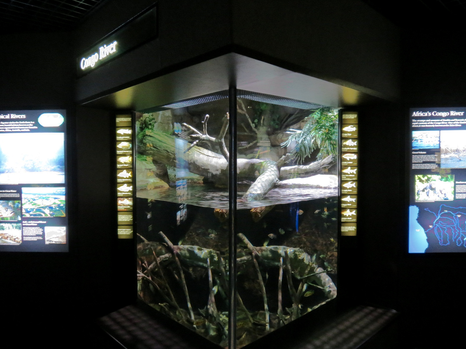 Rivers of the World - Congo River Exhibit
