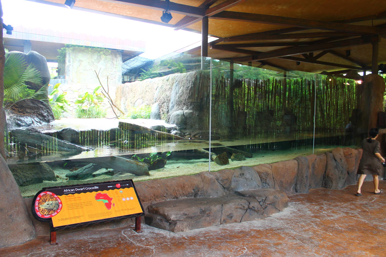 Rivers of the World - Congo River