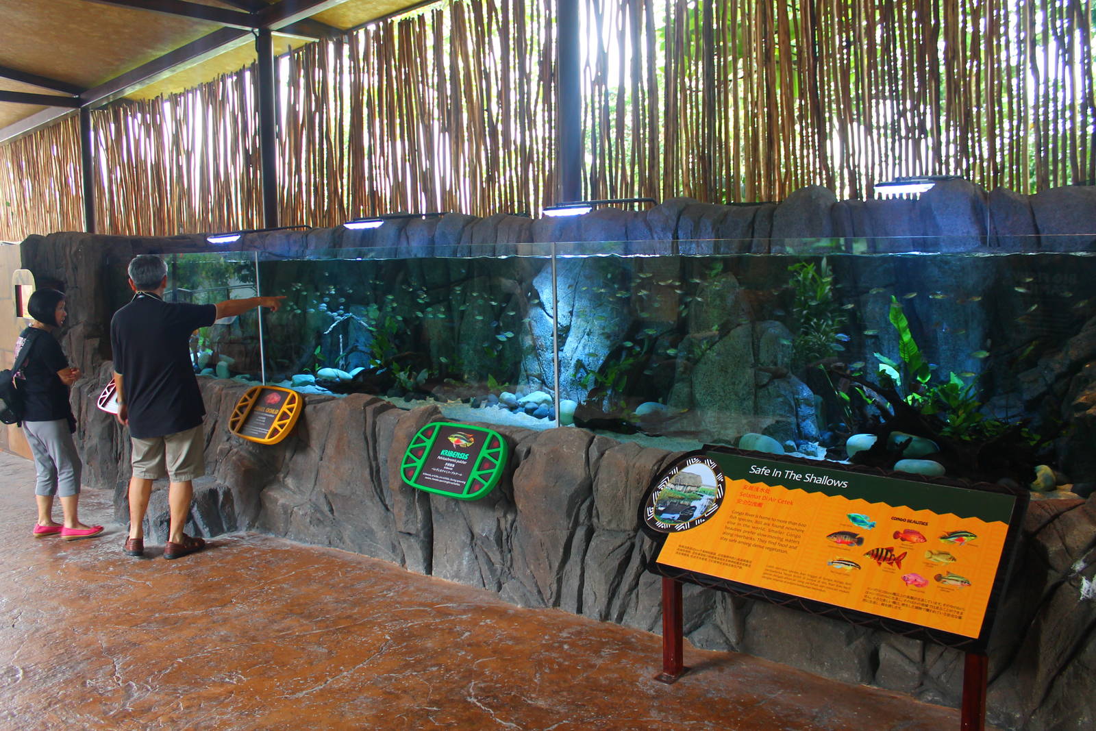 Rivers of the World - Congo River