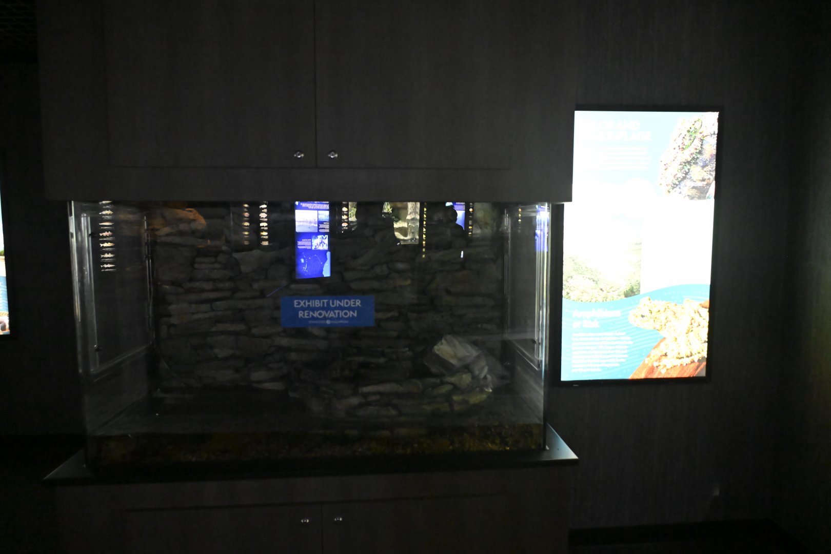 Rivers of the World - Empty Vietnamese Mossy Frog exhibit