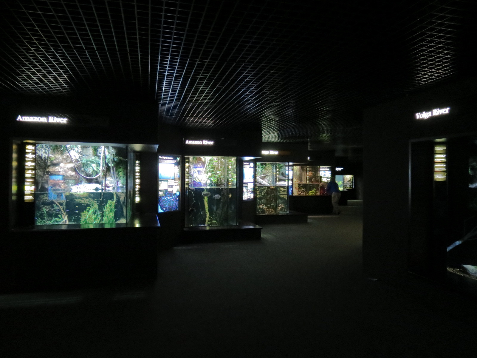 Rivers of the World - Exhibit Hall