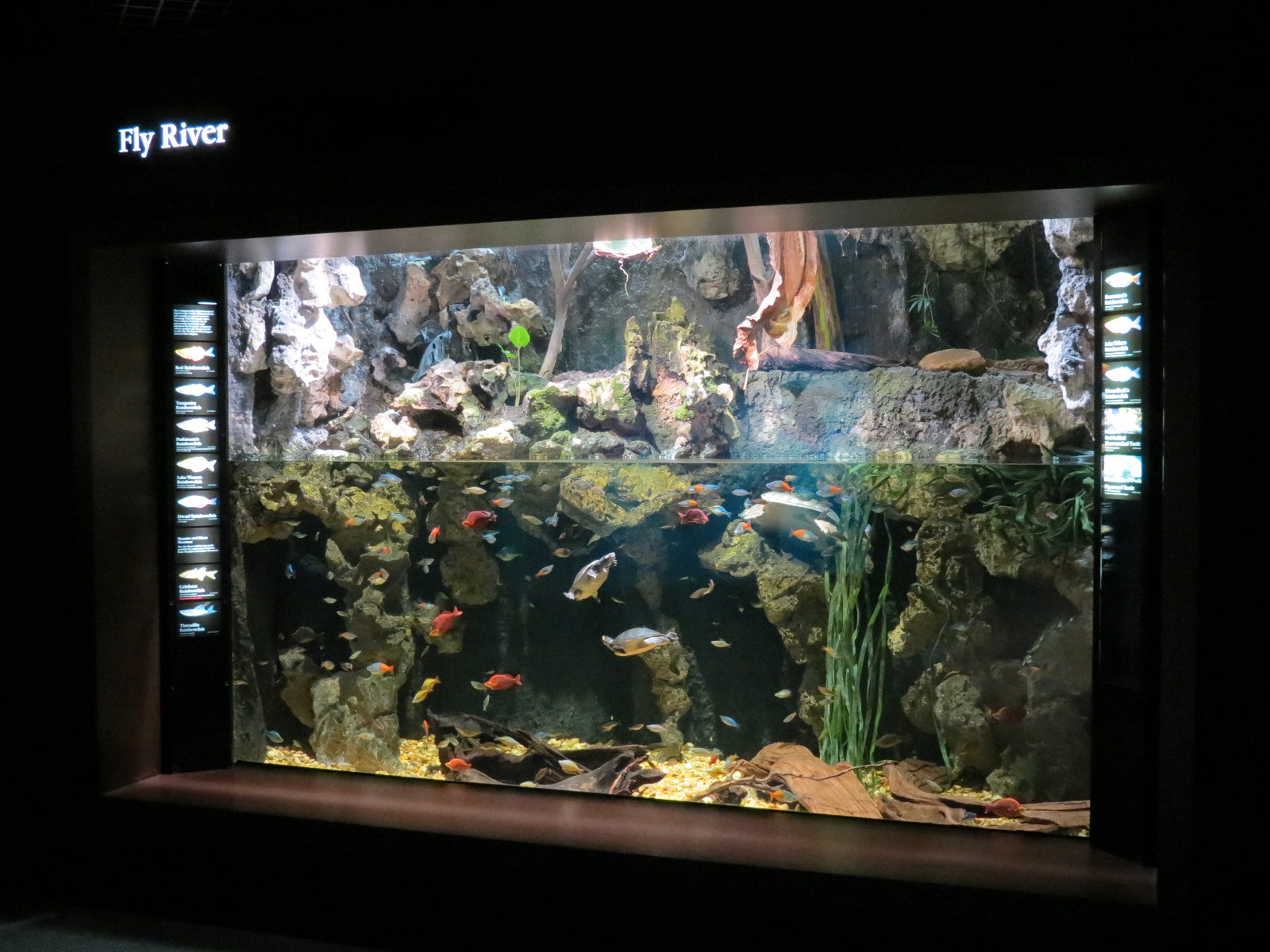 Rivers of the World - Fly River Exhibit