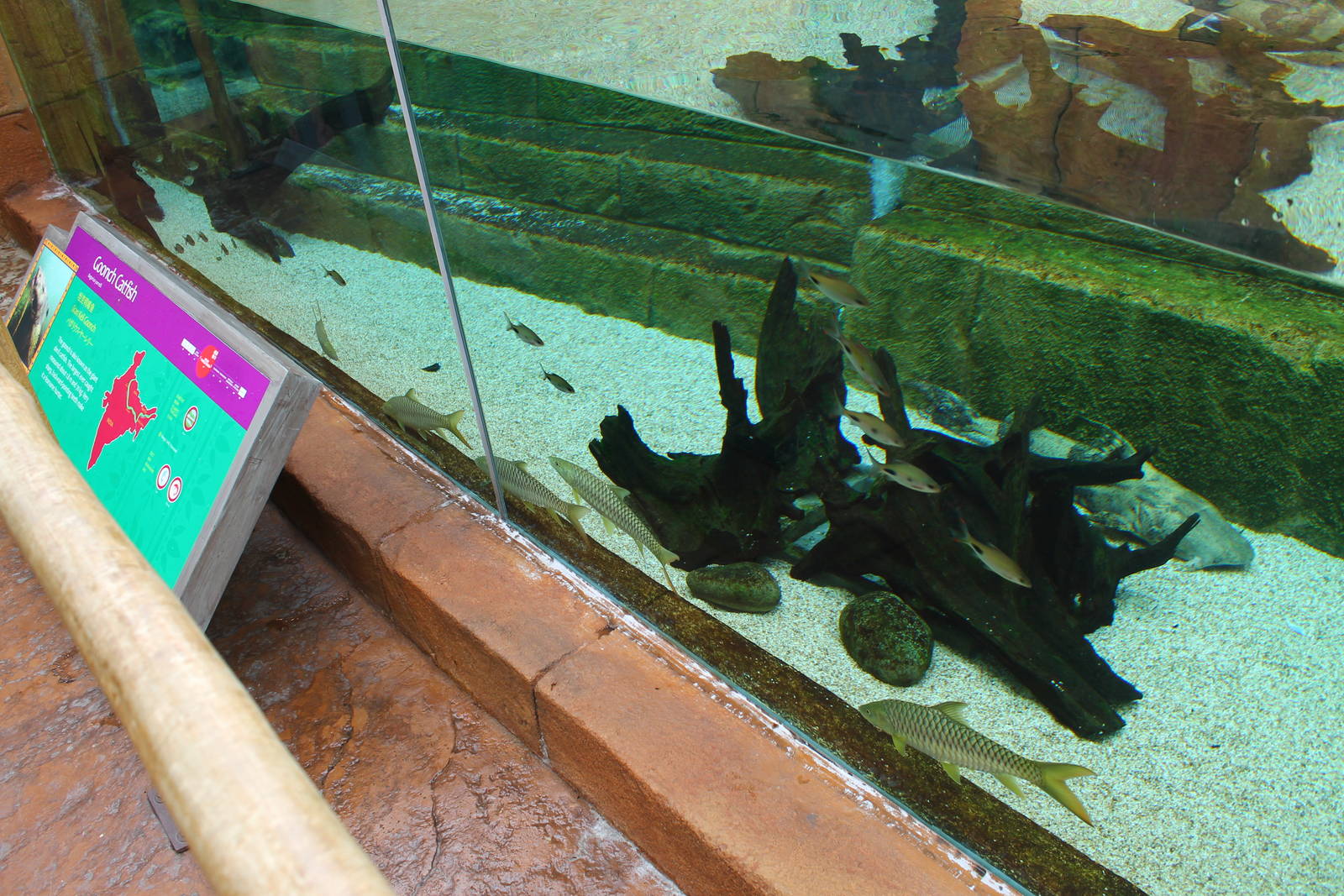 Rivers of the World - Ganges River