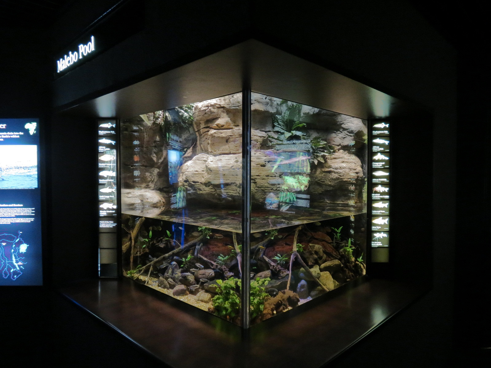 Rivers of the World - Malebo Pool Exhibit