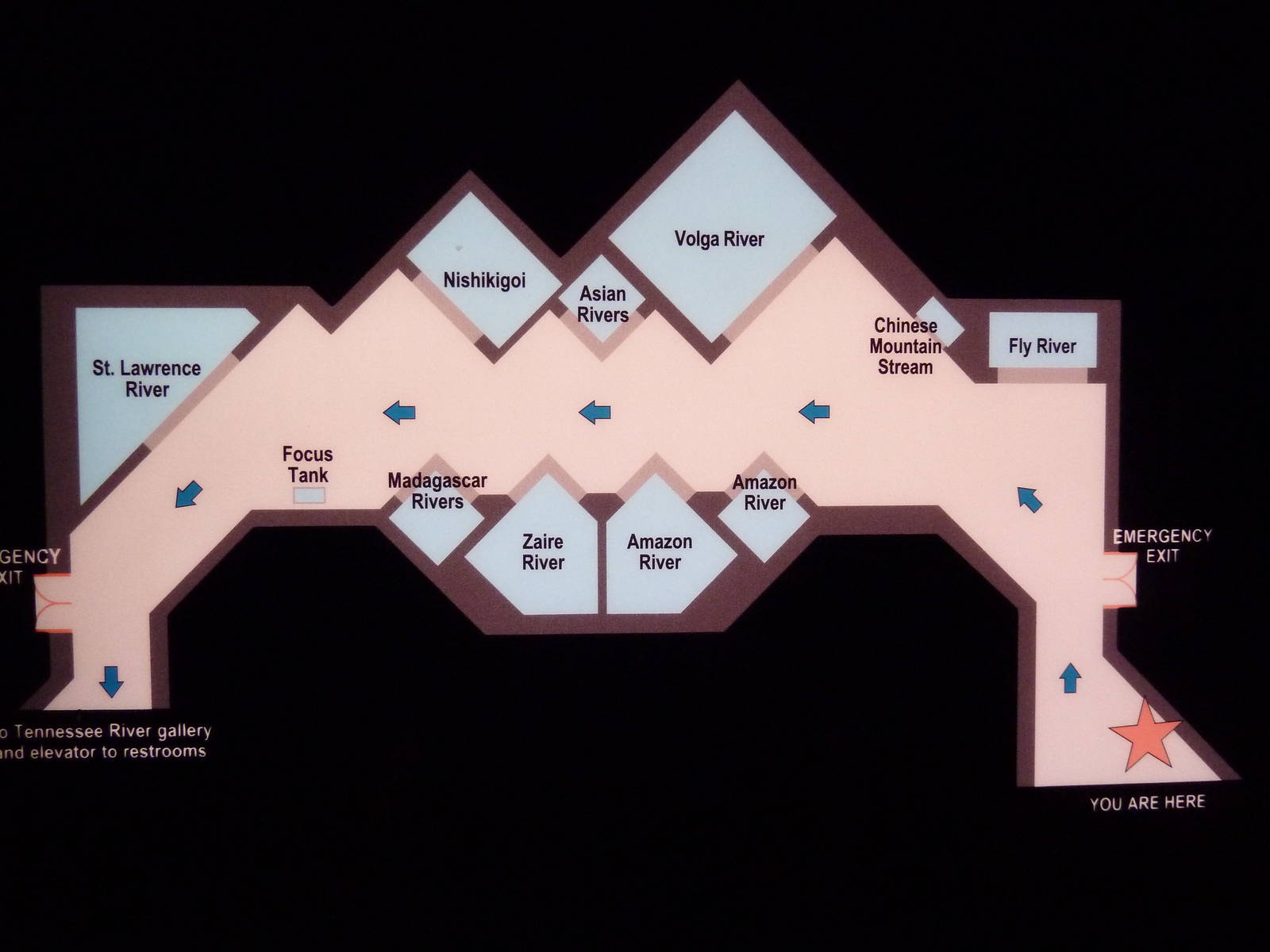 Rivers Of The World - Map