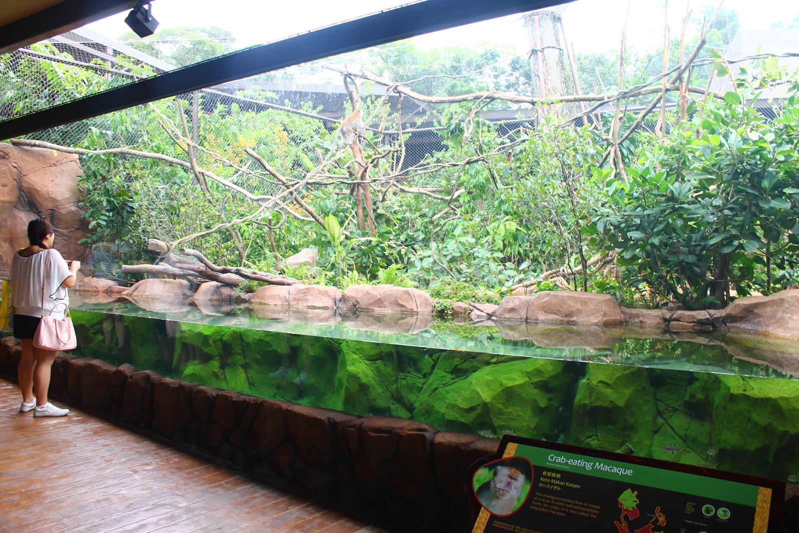 Rivers of the World - Mekong River