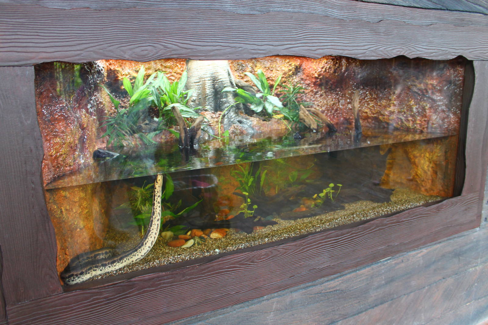 Rivers of the World - Mekong River