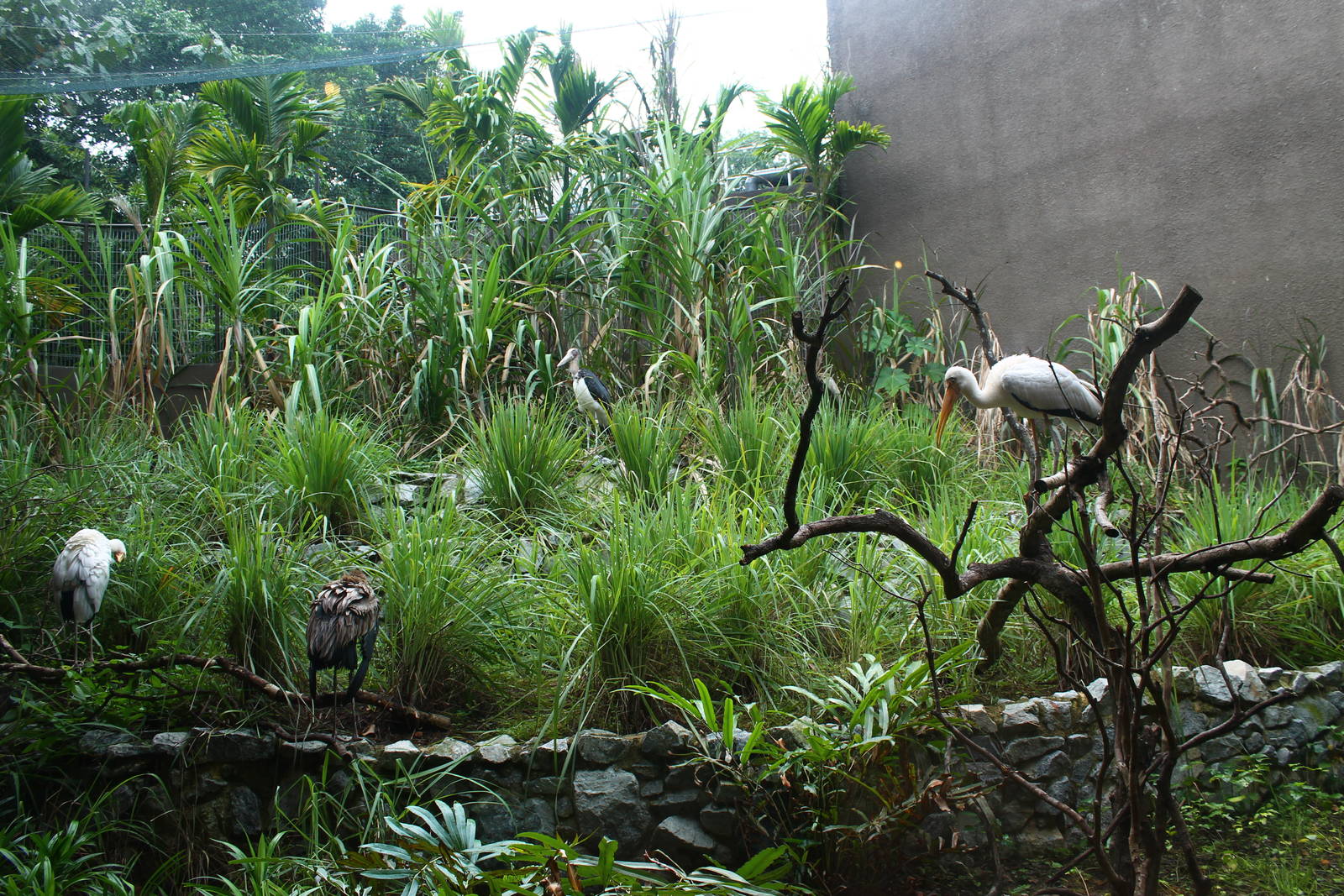 Rivers of the World - Mekong River