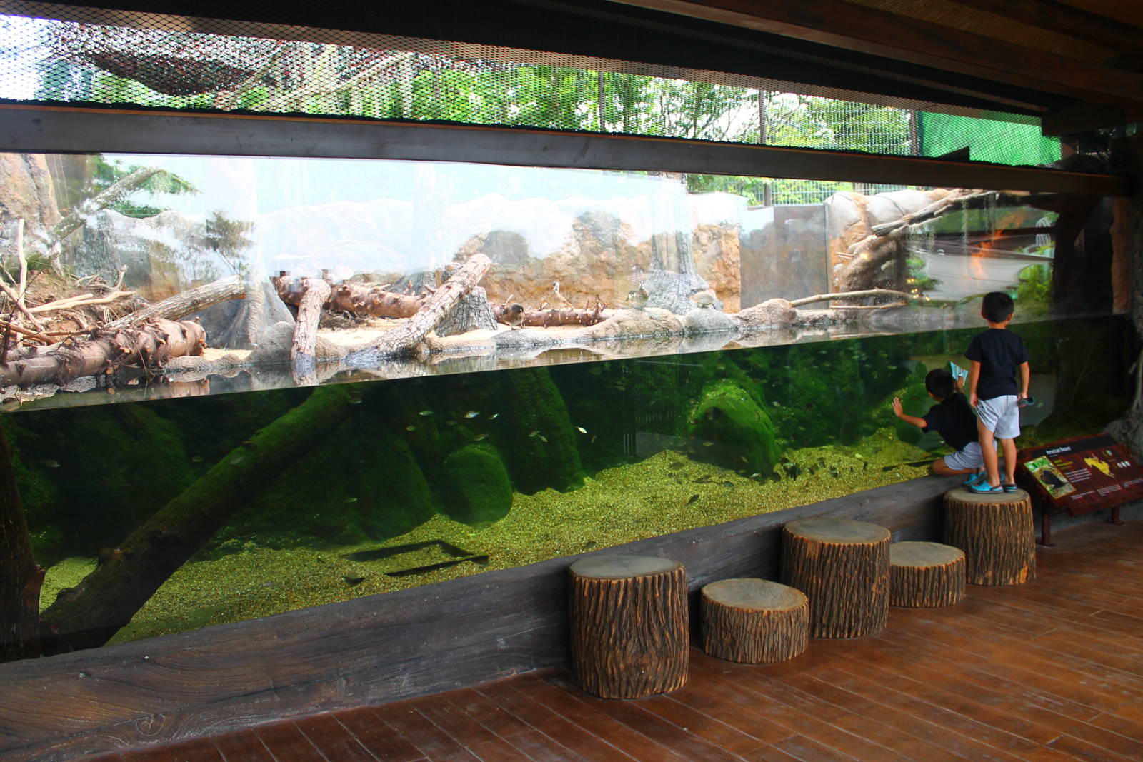 Rivers of the World - Mississippi River